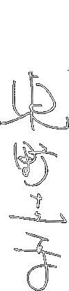 東野圭吾